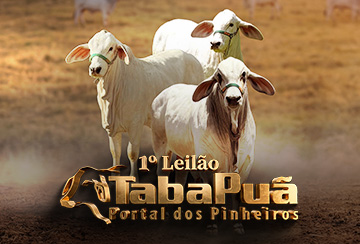1º LEILÃO TABAPUÃ PORTAL DOS PINHEIROS